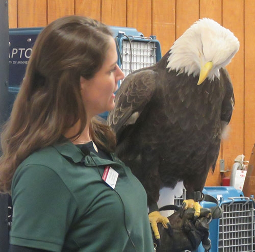 Plan now to attend the free 14th Annual Bald Eagle Day Saturday, March 2 in Ferryville, WI at the Village Community Center located on State Highway 35, &ldquo;The Great River Road&rdquo;. This program is sponsored by the Ferryville Tourism Council,... <a href="/articles/2024/02/21/ferryville-wi-planning-host-14th-annual-bald-eagle-day-march-2">+ continue reading</a> 